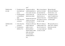 Prakses atskaite 'Aktīvā mācību un audzināšanas prakse pirmsskolā', 17.