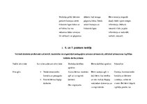 Prakses atskaite 'Aktīvā mācību un audzināšanas prakse pirmsskolā', 19.