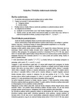 Paraugs 'Elektriskās mašīnas, trīsfāžu sinhronais dzinējs', 2.