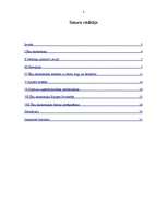 Referāts 'Ēnu ekonomika Latvijā', 2.