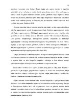 Konspekts 'Īpatnības fotogrāfijās, kas raksturo populāro modes influenceru attēlus platform', 13.