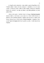 Konspekts 'Īpatnības fotogrāfijās, kas raksturo populāro modes influenceru attēlus platform', 14.