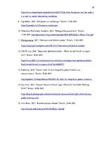 Konspekts 'Īpatnības fotogrāfijās, kas raksturo populāro modes influenceru attēlus platform', 28.