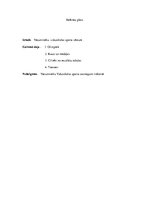 Referāts 'Sports Vecumnieku vidusskolā', 2.