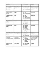 Referāts 'Cilvēku attieksme pret homeopātiju', 17.