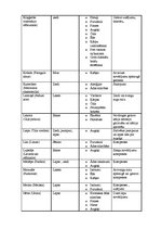 Referāts 'Cilvēku attieksme pret homeopātiju', 18.