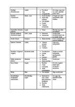 Referāts 'Cilvēku attieksme pret homeopātiju', 19.