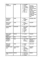 Referāts 'Cilvēku attieksme pret homeopātiju', 20.