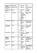 Referāts 'Cilvēku attieksme pret homeopātiju', 21.