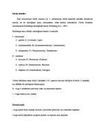 Konspekts 'Vides faktoru vērtējums ar ekoloģiskajām skalām', 2.