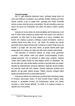 Referāts 'Vladimiras Dievmātes ikona', 2.