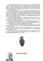 Referāts 'Aleksandrs Grīns "Dvēseļu putenis"', 3.