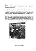 Referāts 'Aleksandrs Grīns "Dvēseļu putenis"', 7.