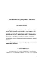 Referāts 'Pozitīvās domāšanas loma cilvēku dzīvē', 17.