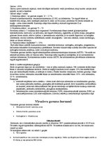 Konspekts 'Virsnieres', 1.