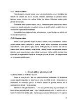 Diplomdarbs 'Automobiļu bremzes', 19.