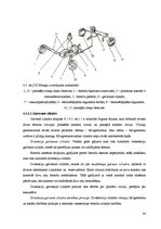 Diplomdarbs 'Automobiļu bremzes', 24.