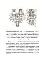 Diplomdarbs 'Automobiļu bremzes', 51.