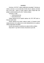 Referāts 'SIA "PBLC" vadīšana mainīgās ārējās vides apstākļos', 2.