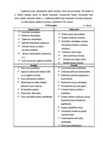 Referāts 'SIA "PBLC" vadīšana mainīgās ārējās vides apstākļos', 27.
