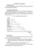 Konspekts 'Projekta detalizēta plānošana', 2.