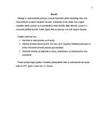 Prakses atskaite 'Ievadprakse tiesā. Tiesību principu pielietošana tiesas procesā', 3.