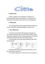 Referāts 'Ciete', 2.