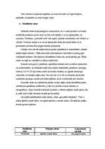 Referāts 'Ciete', 5.