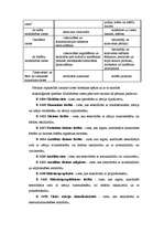 Referāts 'Ciete', 6.