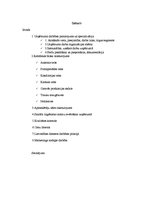 Prakses atskaite 'Kafejnīca "Silva"', 1.