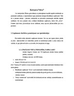 Prakses atskaite 'Kafejnīca "Silva"', 2.