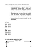 Prakses atskaite 'Kafejnīca "Silva"', 3.