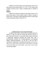 Prakses atskaite 'Kafejnīca "Silva"', 10.