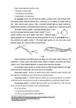 Referāts 'Hidrodinamikas pamatjēdzieni, uzdevumi un pētīšanas metodes', 5.