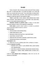 Referāts 'Skatītāja - lasītāja klātbūtnes efekts I.Ābeles drāmā ”Dzelzszāle”', 5.