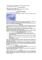 Konspekts 'Ārvalstu valsts un tiesību vēsture', 3.