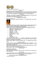 Konspekts 'Ārvalstu valsts un tiesību vēsture', 7.