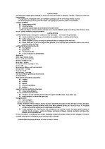 Konspekts 'Ārvalstu valsts un tiesību vēsture', 14.