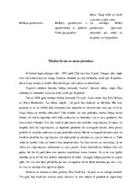 Konspekts 'Psiholoģiskā sagatavošana hokejā', 7.