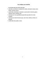 Referāts 'Krāsu ietekme un nozīme', 6.