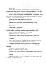 Referāts 'Krāsu ietekme un nozīme', 7.