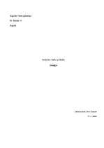 Referāts 'Somija', 4.