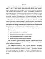 Referāts 'Pamatlīdzekļu uzskaite un organizācija uzņēmumā', 2.