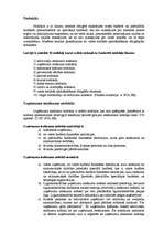 Referāts 'Uzņēmuma ienākumu nodoklis', 2.