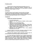 Referāts 'Uzņēmuma ienākumu nodoklis', 4.