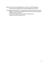 Referāts 'Intelektuālo transporta sistēmu iekļaušana bezpilota lidaparātos, integrējot tos', 17.