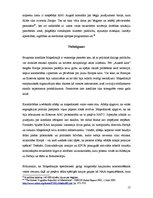 Referāts 'Etniskais konflikts Maķedonijā un tā atrisināšana', 17.