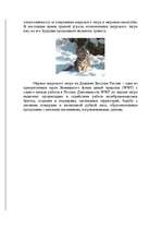 Referāts 'Амурский тигр', 6.