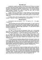 Konspekts 'Rundāles pils', 1.