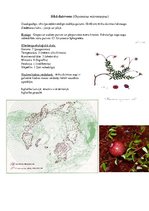 Prezentācija 'Augu ekoloģija purvu zinatnēs', 3.